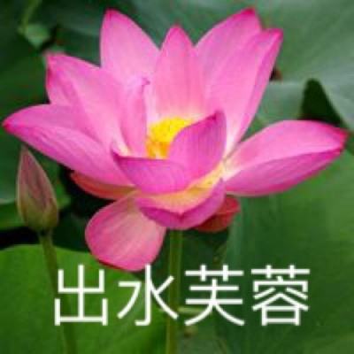逸仙诀游戏下载